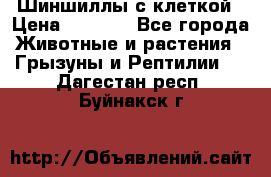 Шиншиллы с клеткой › Цена ­ 8 000 - Все города Животные и растения » Грызуны и Рептилии   . Дагестан респ.,Буйнакск г.